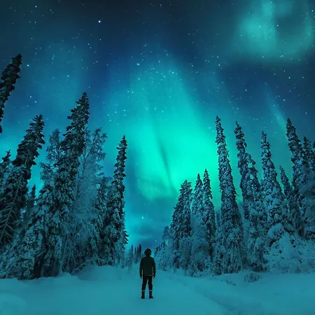 Sielikkö Aurora Log Apartments Saariselkä Exterior foto