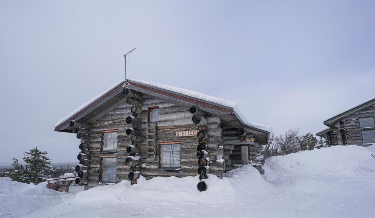 Sielikkoe Aurora Log *
