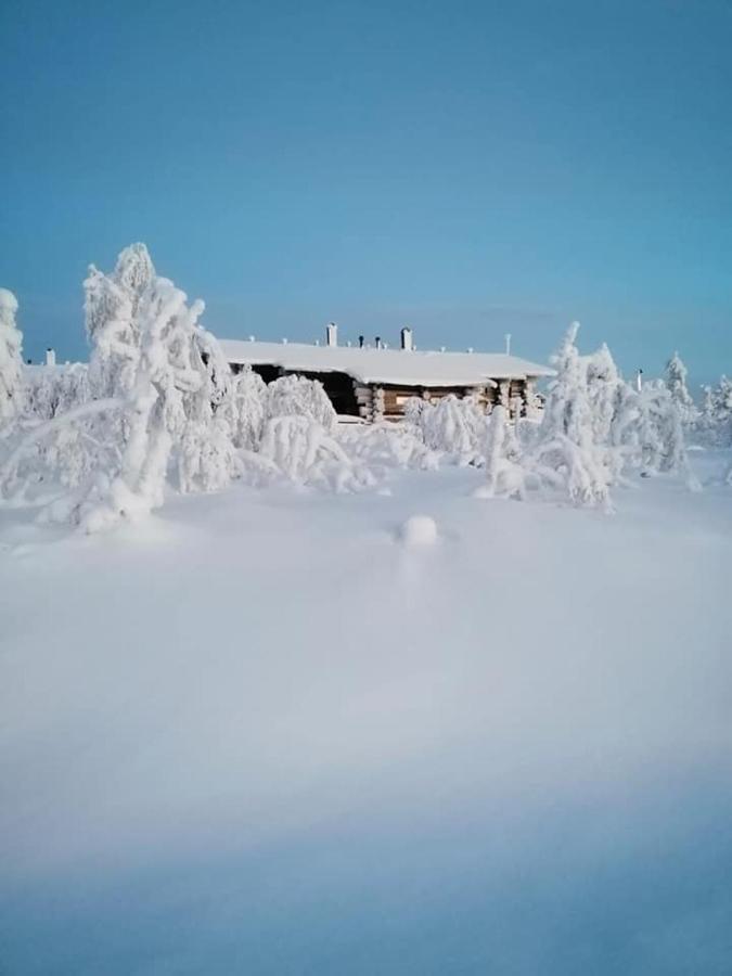 Chalet Sielikkoe Aurora Log Saariselka