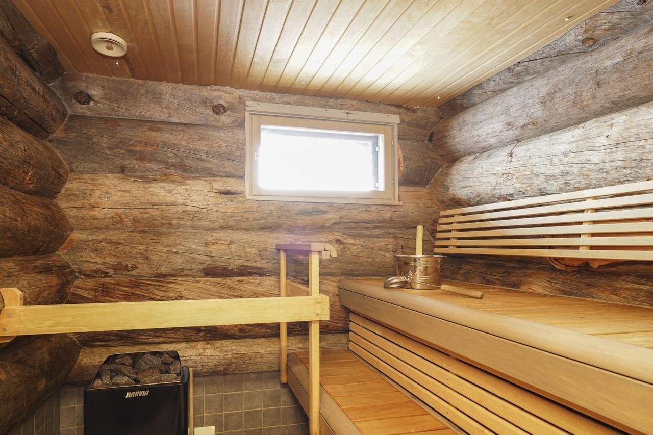 Sielikkoe Aurora Log *