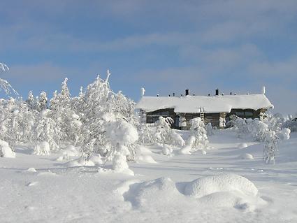 Sielikkoe Aurora Log Chalet *